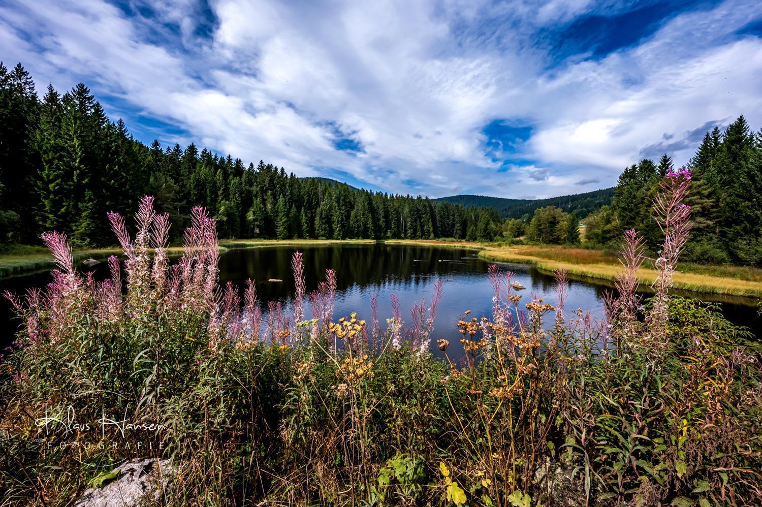 Fewo Sunneschii, Hoechenschwand, Dorf Am Himmel, Sauna Im Haus Apartment Exterior foto