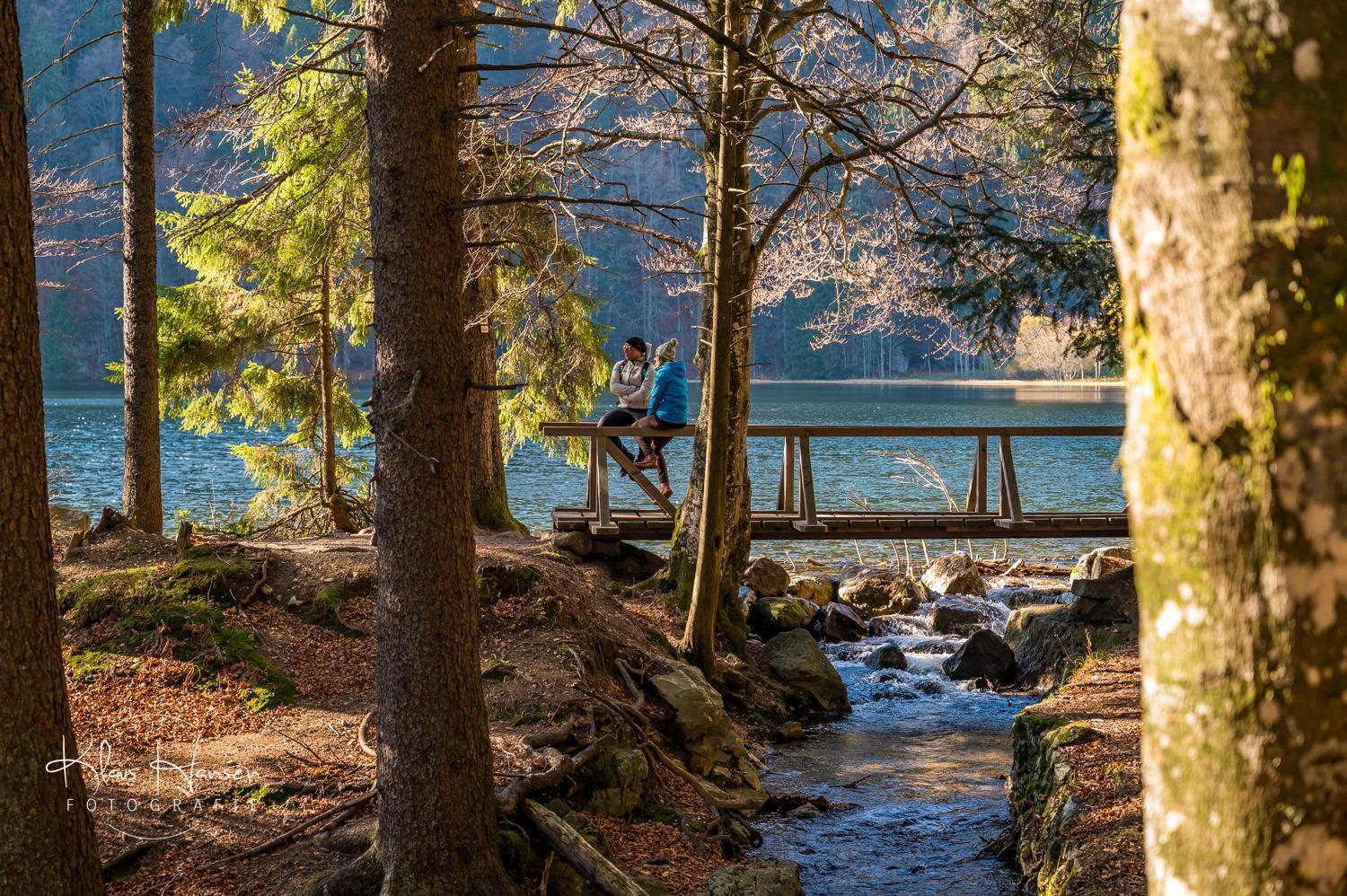 Fewo Sunneschii, Hoechenschwand, Dorf Am Himmel, Sauna Im Haus Apartment Exterior foto