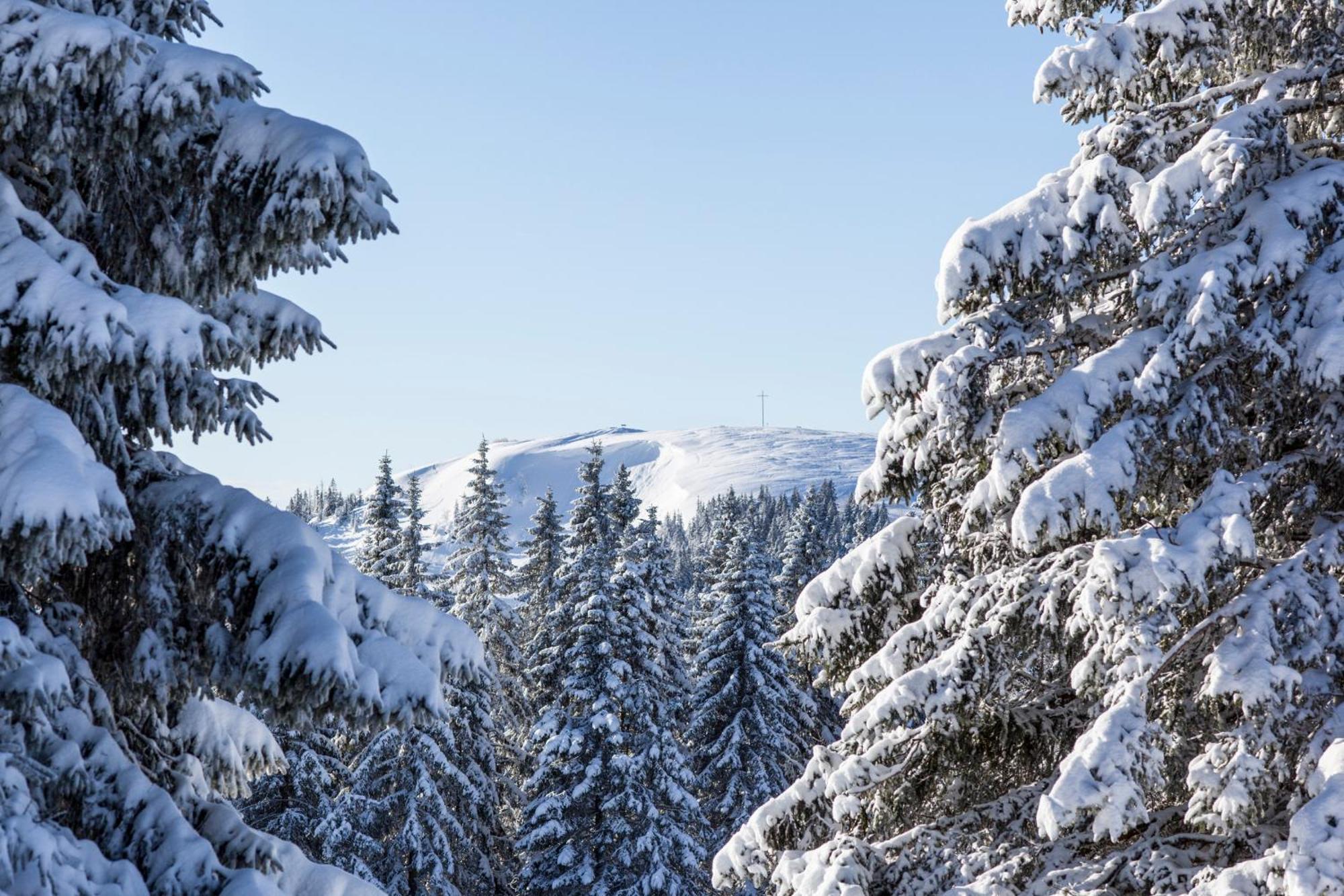 Fewo Sunneschii, Hoechenschwand, Dorf Am Himmel, Sauna Im Haus Apartment Exterior foto